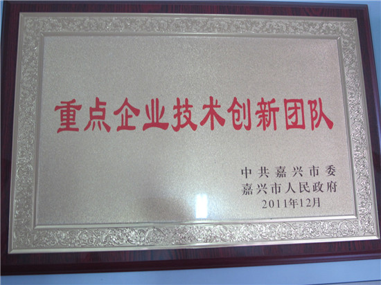 重點企業技術創新團隊_副本
