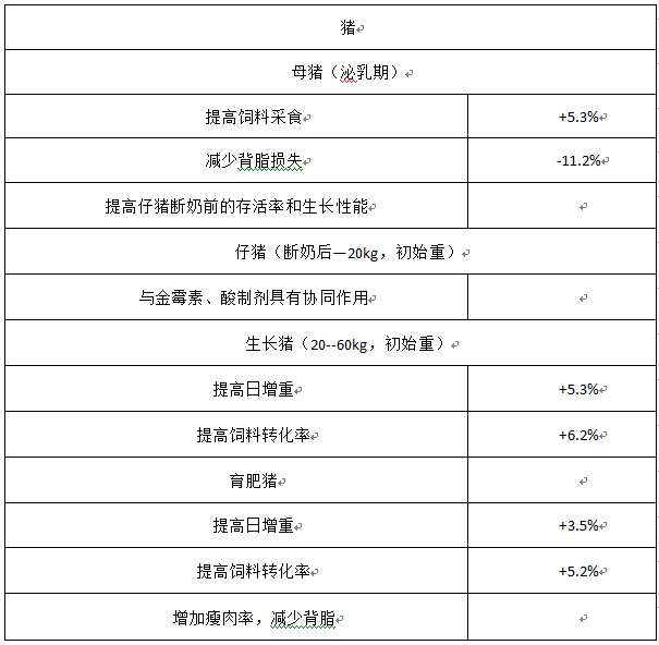 豬10