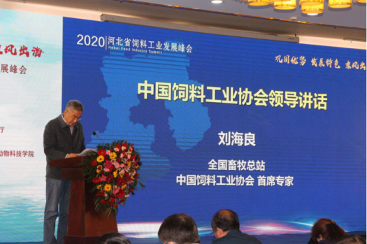 鞏固優(yōu)勢，發(fā)展特色，乘風(fēng)出海：2019河北省飼料工業(yè)發(fā)展峰會，帶您共享云上和線下精彩1259