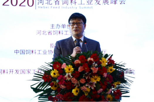 鞏固優(yōu)勢，發(fā)展特色，乘風(fēng)出海：2019河北省飼料工業(yè)發(fā)展峰會，帶您共享云上和線下精彩2709