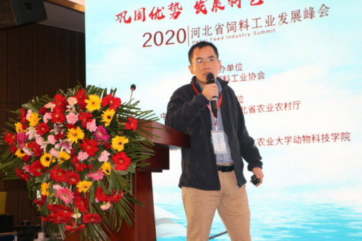 鞏固優(yōu)勢，發(fā)展特色，乘風(fēng)出海：2019河北省飼料工業(yè)發(fā)展峰會，帶您共享云上和線下精彩2742