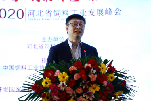 鞏固優(yōu)勢，發(fā)展特色，乘風(fēng)出海：2019河北省飼料工業(yè)發(fā)展峰會，帶您共享云上和線下精彩3590