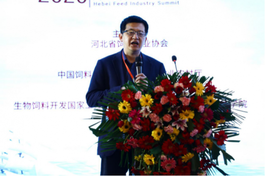 鞏固優(yōu)勢，發(fā)展特色，乘風(fēng)出海：2019河北省飼料工業(yè)發(fā)展峰會，帶您共享云上和線下精彩4117