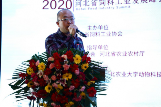 鞏固優(yōu)勢，發(fā)展特色，乘風(fēng)出海：2019河北省飼料工業(yè)發(fā)展峰會，帶您共享云上和線下精彩4514