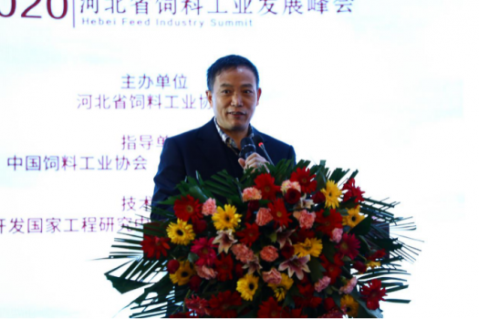 鞏固優(yōu)勢，發(fā)展特色，乘風(fēng)出海：2019河北省飼料工業(yè)發(fā)展峰會，帶您共享云上和線下精彩4798