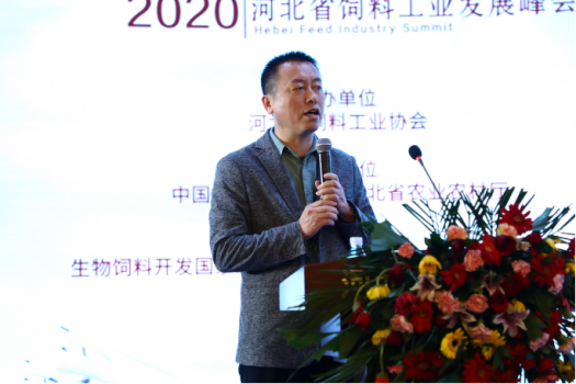 鞏固優(yōu)勢，發(fā)展特色，乘風(fēng)出海：2019河北省飼料工業(yè)發(fā)展峰會，帶您共享云上和線下精彩6546