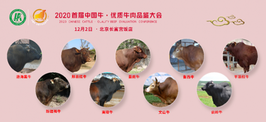 微信圖片_20201125222826
