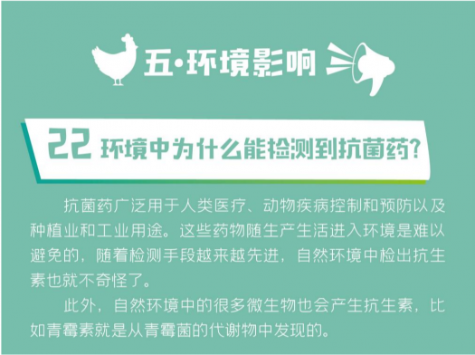二十五問-22