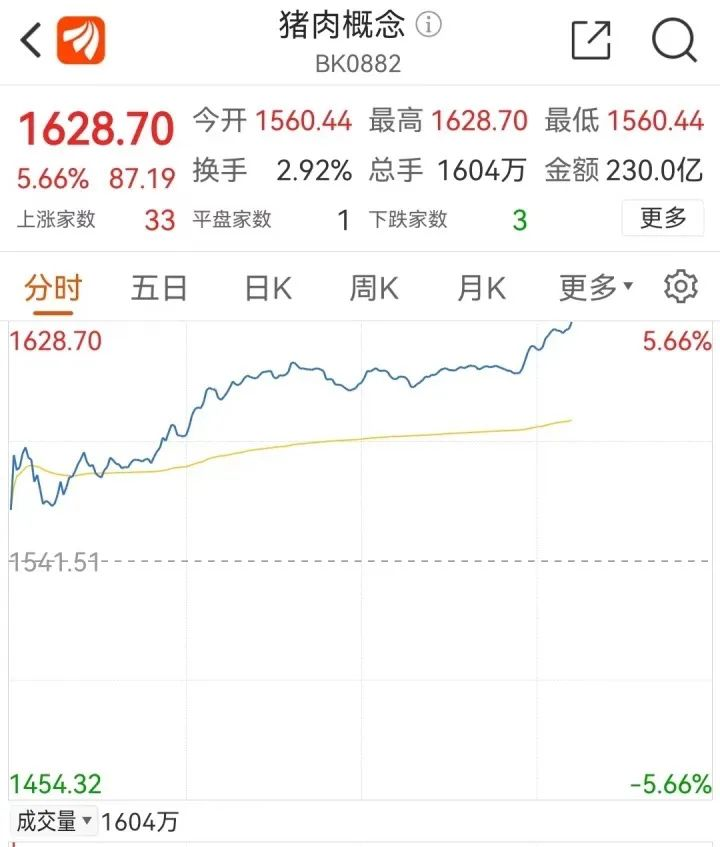 圖片1