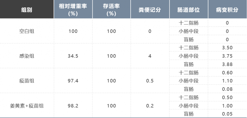 圖片2