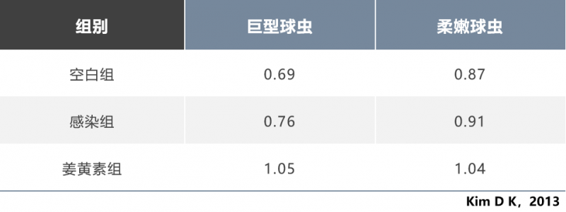圖片5