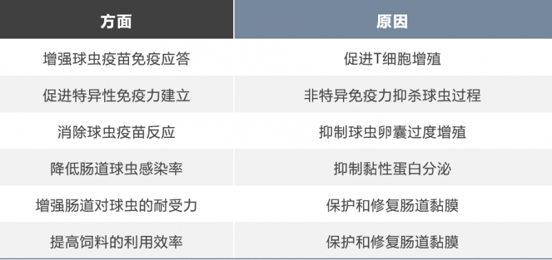 圖片6