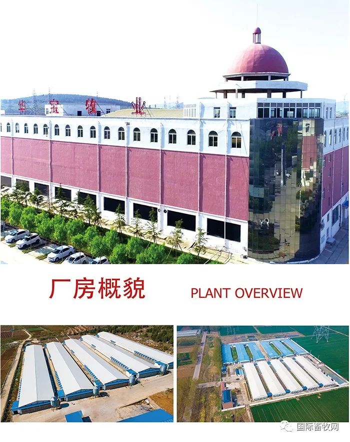 微信圖片_20221215143806