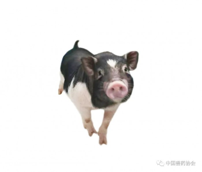 微信圖片_20230116151928