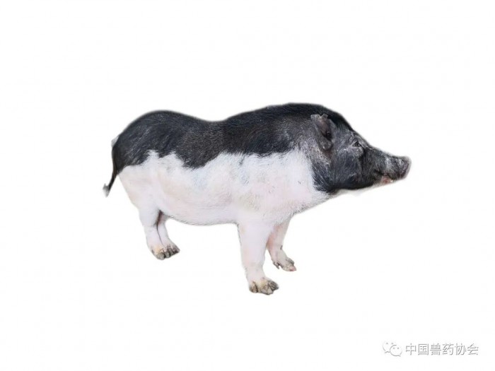 微信圖片_20230116151932