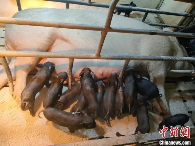 微信圖片_20230302092814
