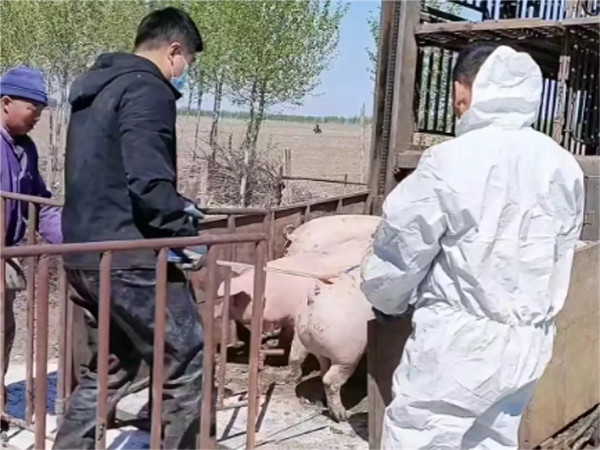 微信圖片_20230526160950