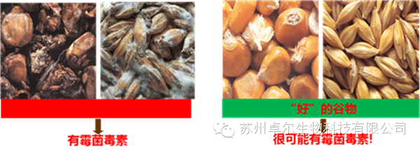 微信圖片_20230824094539
