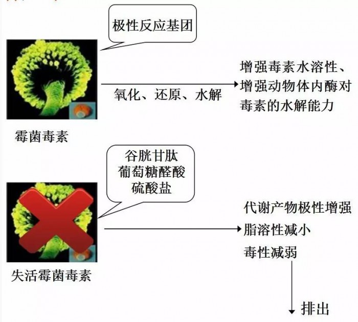 微信圖片_20230922144708