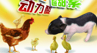 中華富銅康、多維