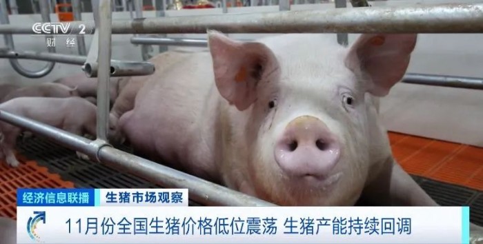微信圖片_20231226101021