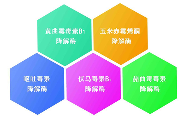 微信圖片_20240227153950