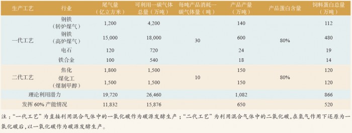 表 9 微生物菌體蛋白（乙醇梭菌蛋白）生產潛力情況表