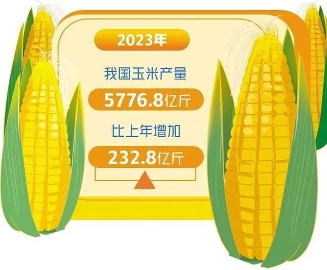 微信圖片_20240229103421