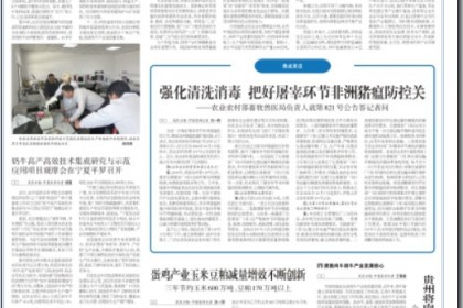 蛋雞產(chǎn)業(yè)玉米豆粕減量增效不斷創(chuàng)新