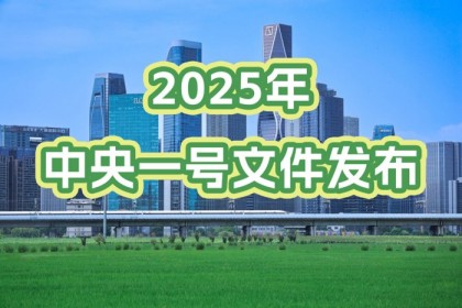  2025年中央一號(hào)文件